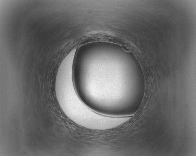 X0000081570965200701151021