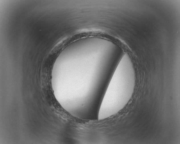 X0000081570967200701151021