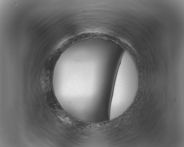 X0000081570968200701151021