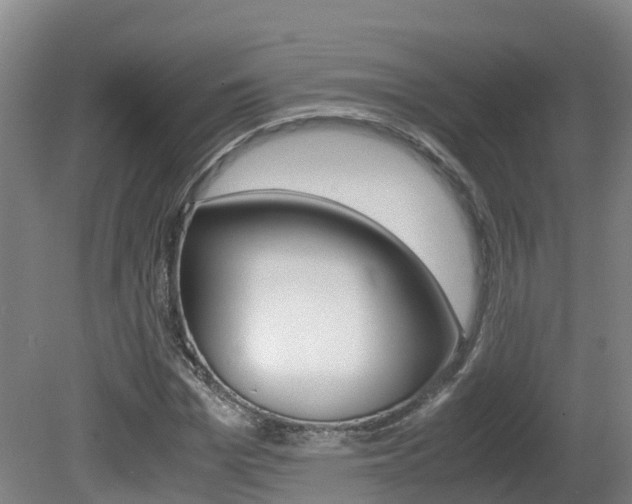 X0000081570969200701151021
