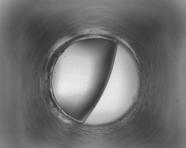 X0000081570971200701151021