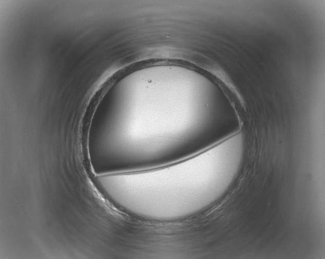 X0000081570972200701151021