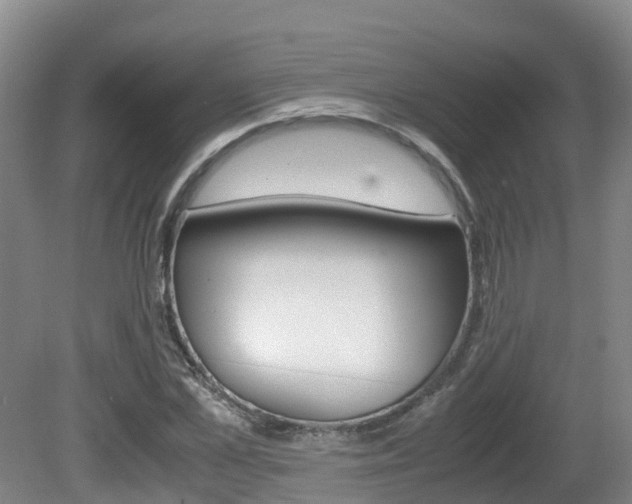 X0000081570973200701151021