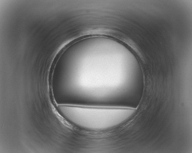 X0000081570980200701151021