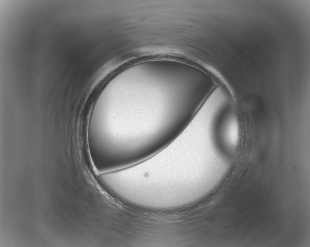 X0000081570983200701151021