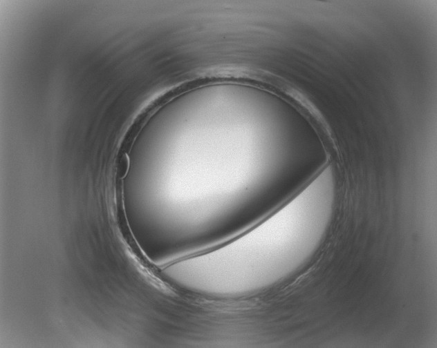 X0000081570984200701151021