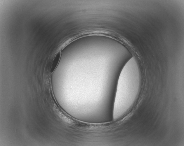 X0000081570985200701151021