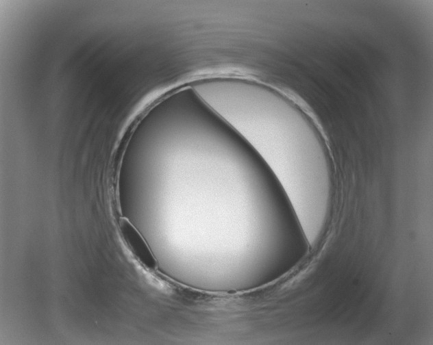 X0000081570989200701151021