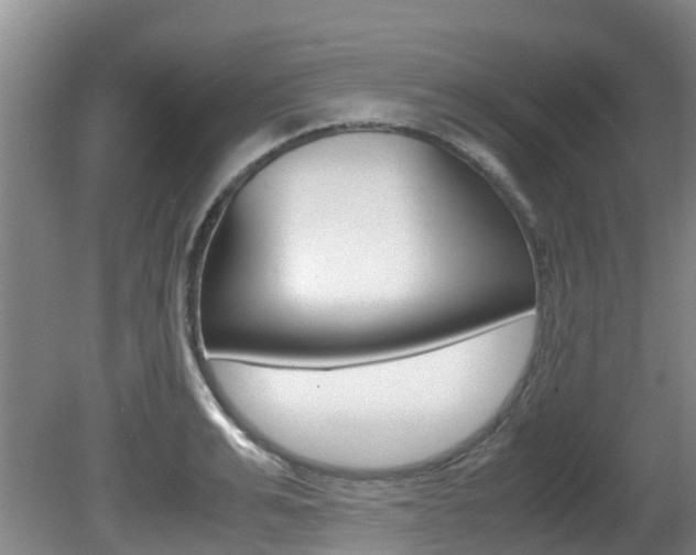 X0000081570991200701151021