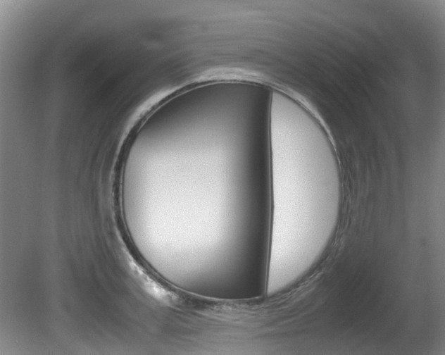 X0000081570995200701151021