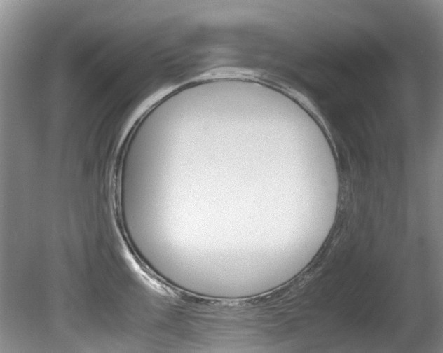 X0000081571003200701151021