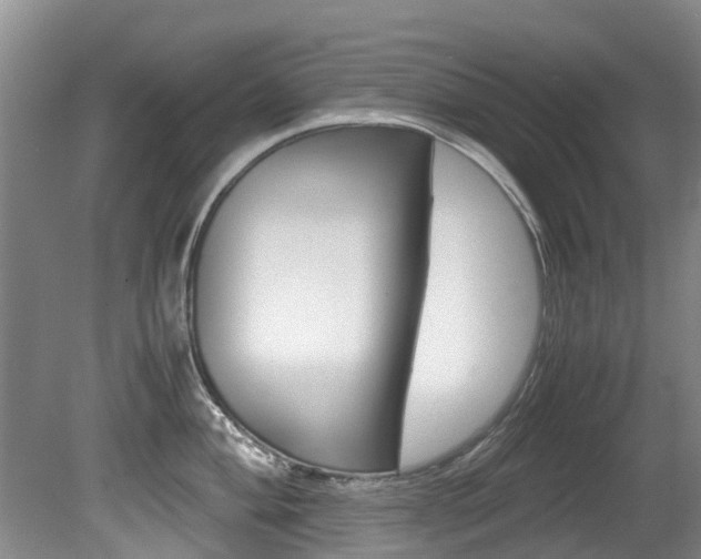 X0000081571004200701151021
