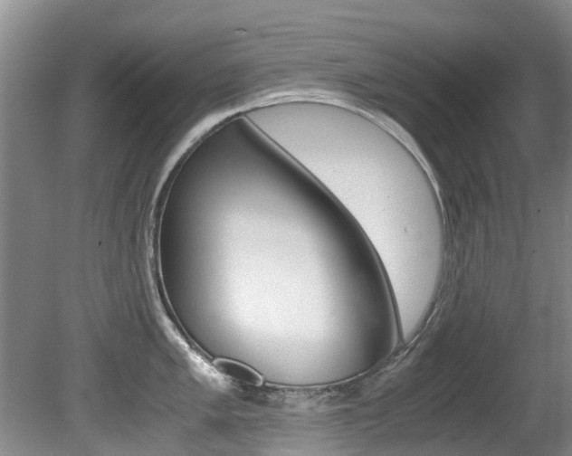 X0000081571005200701151021