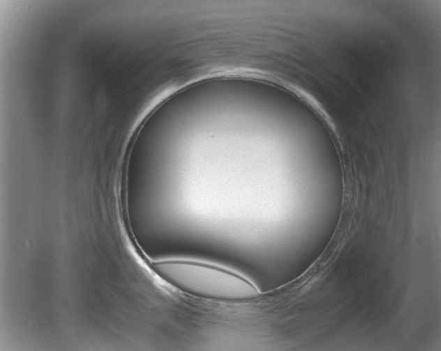 X0000081571007200701151021