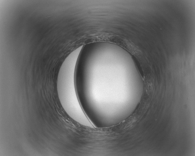 X0000081571010200701151020