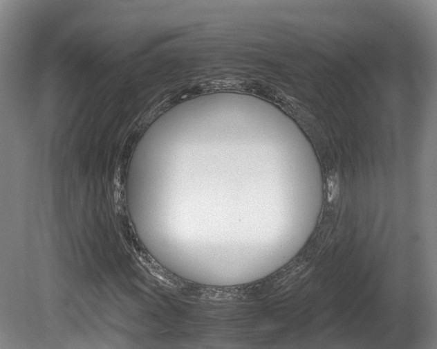 X0000081571011200701151020