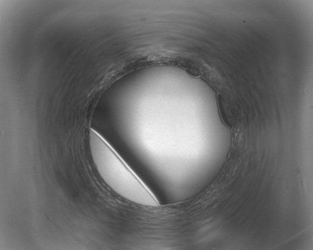 X0000081571012200701151020