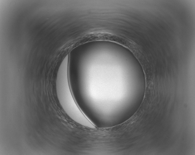 X0000081571014200701151020
