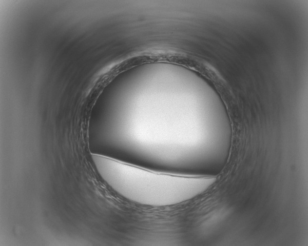 X0000081571016200701151020
