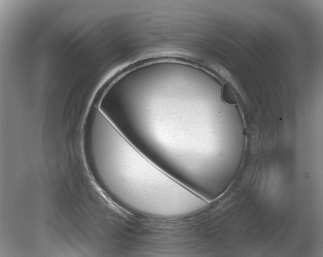 X0000081571024200701151020