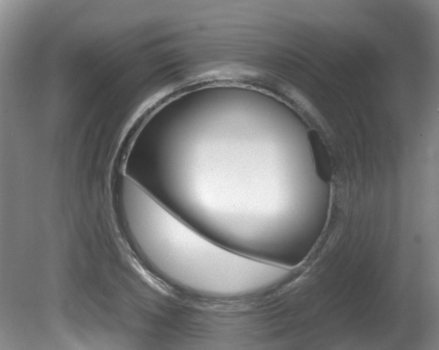 X0000081571026200701151020