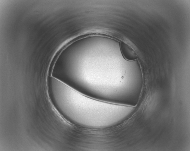 X0000081571028200701151020