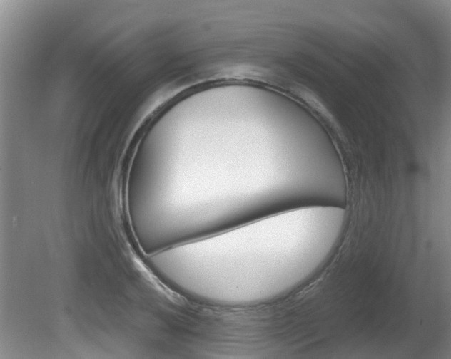 X0000081571032200701151020