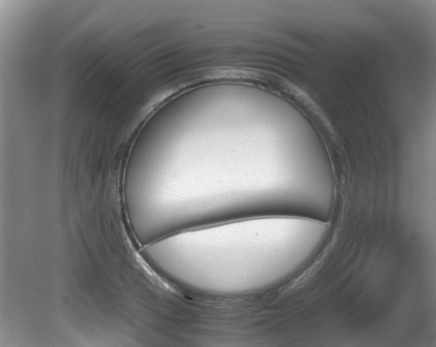 X0000081571033200701151020