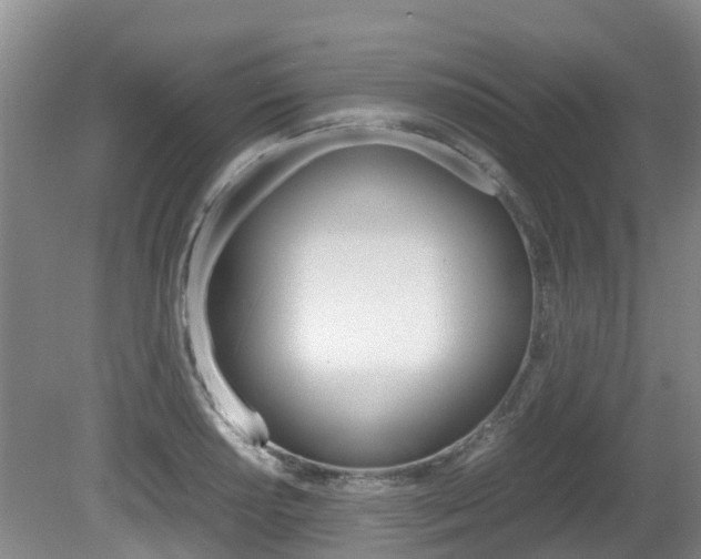 X0000081571034200701151020
