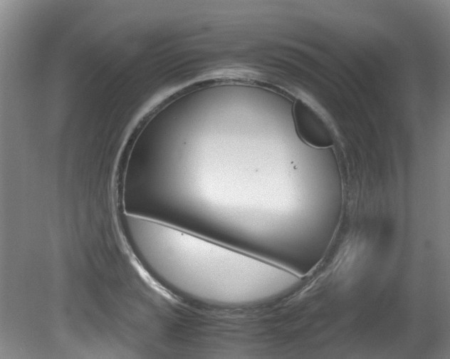 X0000081571037200701151020