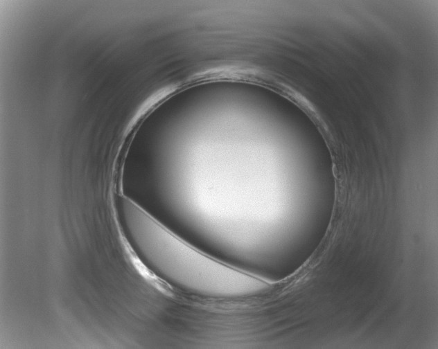 X0000081571042200701151020