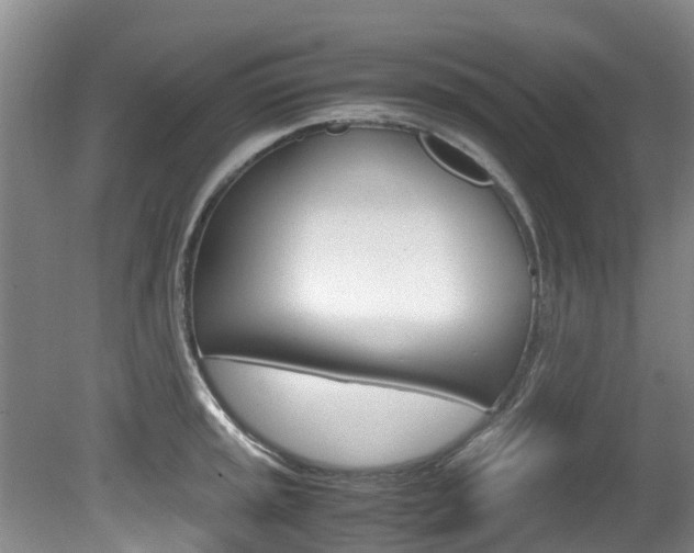 X0000081571045200701151020