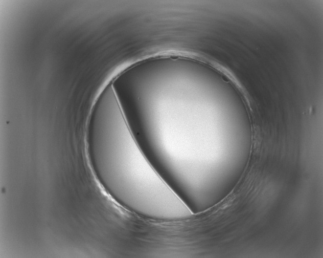 X0000081571048200701151021