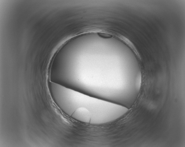 X0000081571051200701151021