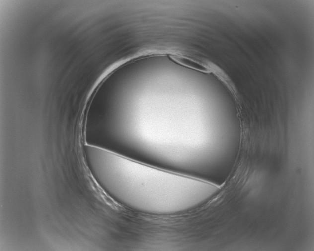 X0000081571052200701151021