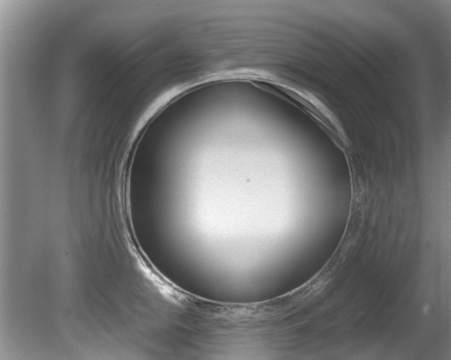 X0000081571054200701151021