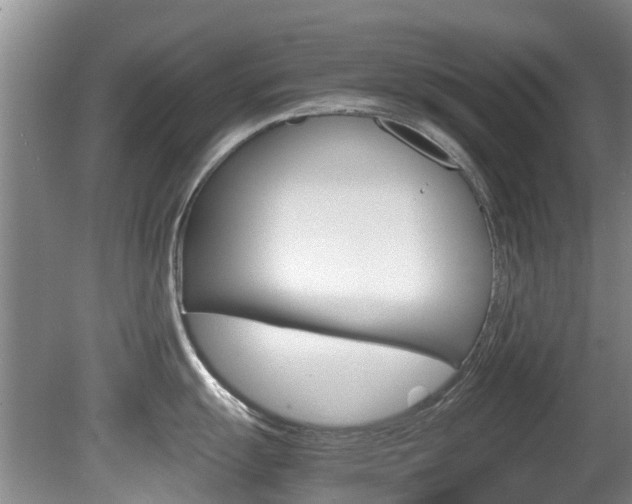 X0000081571055200701151021