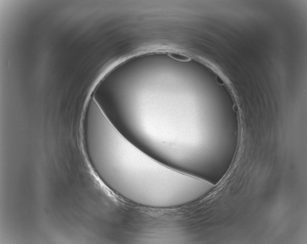 X0000081571056200701151021