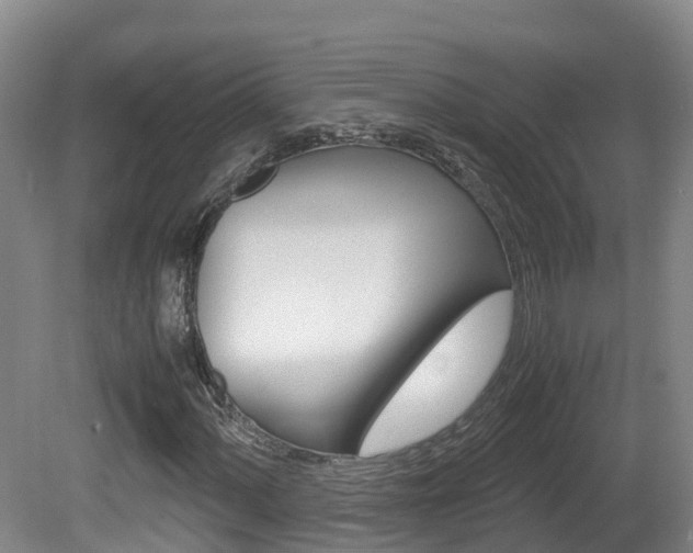 X0000081571060200701151020