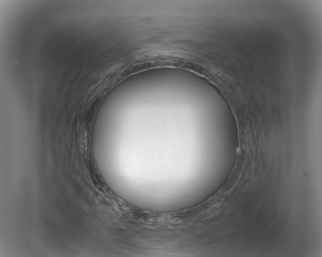 X0000081571061200701151020