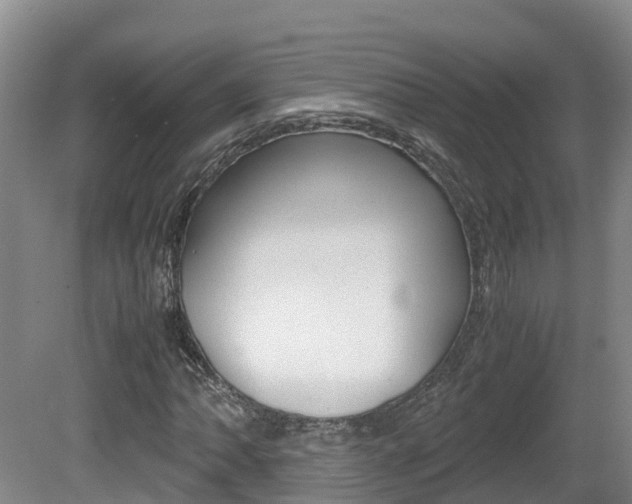 X0000081571062200701151020