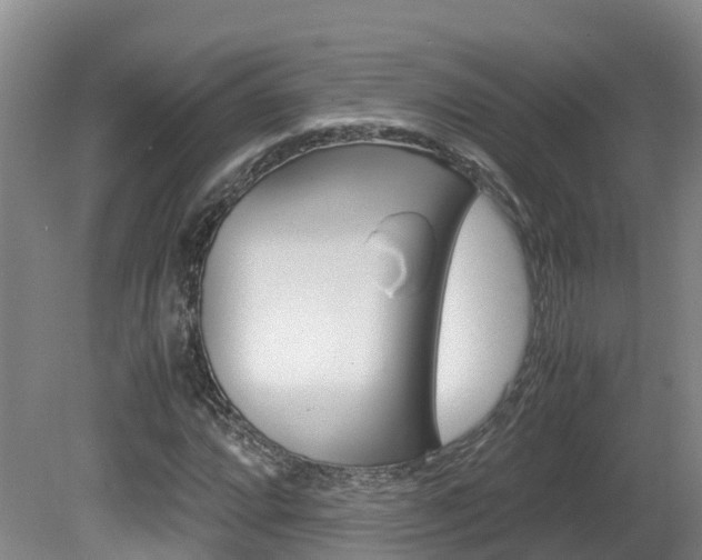 X0000081571064200701151020