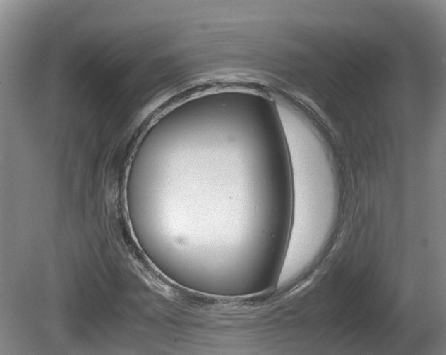 X0000081571065200701151020