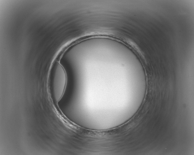 X0000081571072200701151020