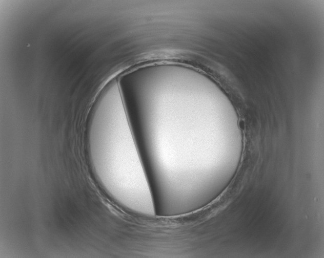 X0000081571073200701151020