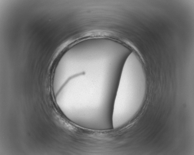 X0000081571075200701151020