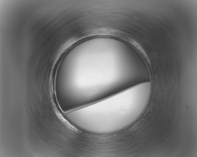 X0000081571080200701151019