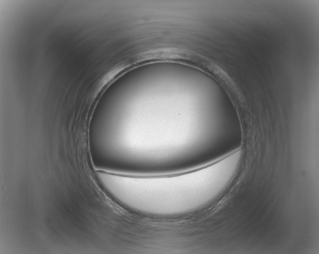 X0000081571081200701151019