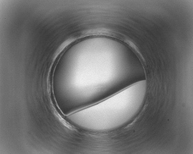 X0000081571082200701151019
