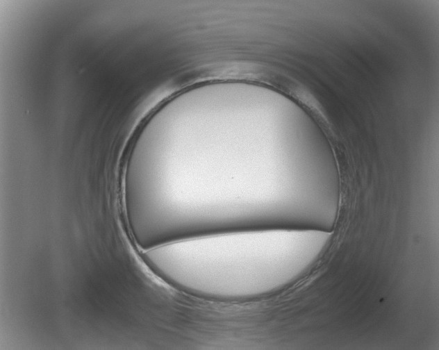 X0000081571087200701151019